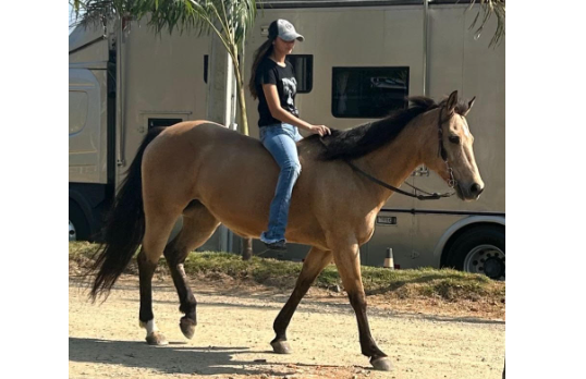 ESPINOZA LEO 3S